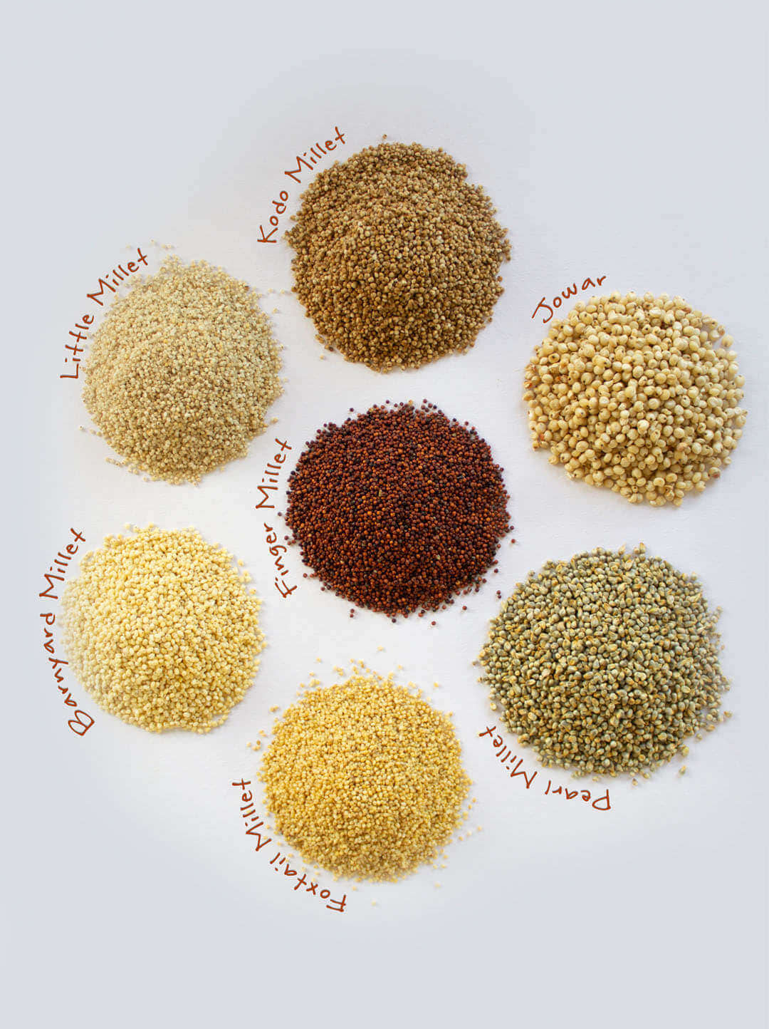 Millet Grain